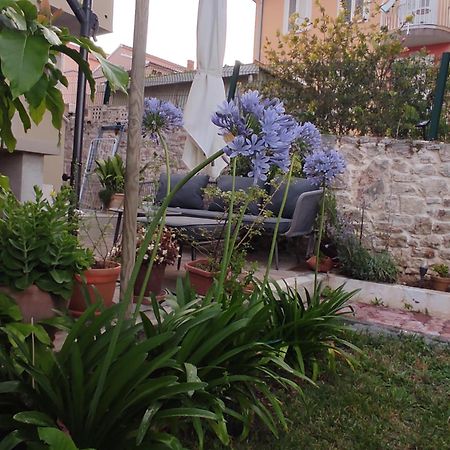 Villa Podvrsina1A Rosa Preko Exterior foto